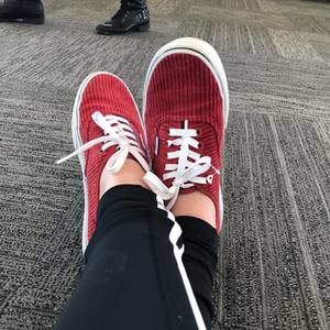 Meet your Posher, Molly